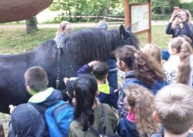 Die Viertklässler der PGS bei den Waldspielen im Burgauer Wald