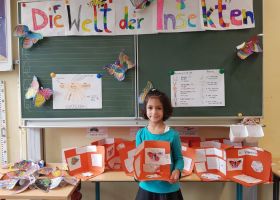 Projektwoche 2017