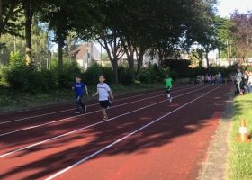 Sportfest