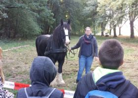 Die Viertklässler der PGS bei den Waldspielen im Burgauer Wald