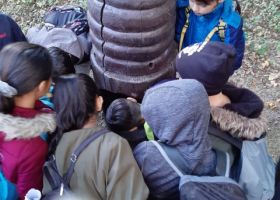 Die Viertklässler der PGS bei den Waldspielen im Burgauer Wald